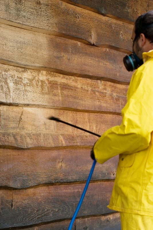 Cedar Siding Cleaning Service
