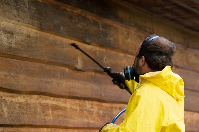 Cedar Siding Before Cleaning